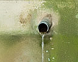 Dripping Overflow Pipes